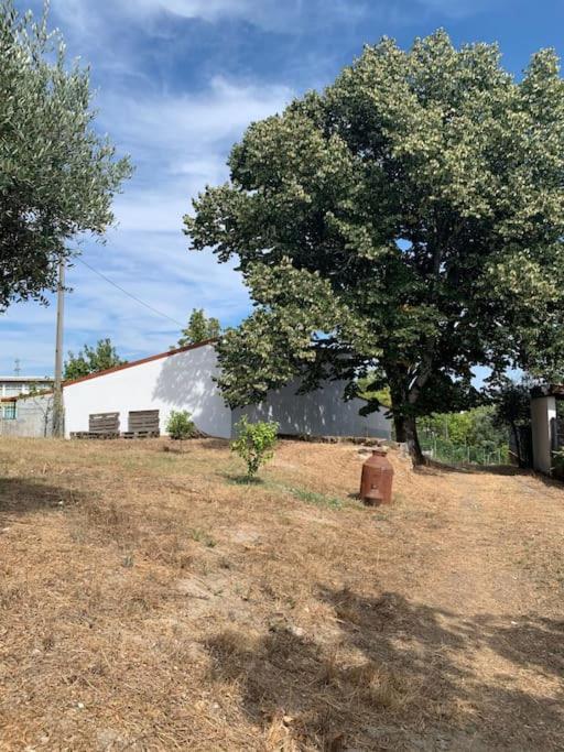 Villa Casa Da Oliveira Nelas Exterior foto