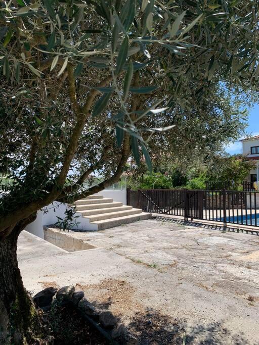 Villa Casa Da Oliveira Nelas Exterior foto